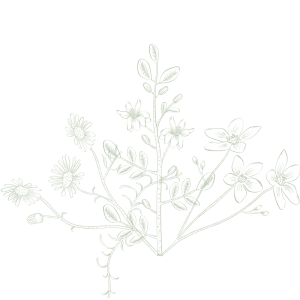 composition flacon personnalise fleur de bach