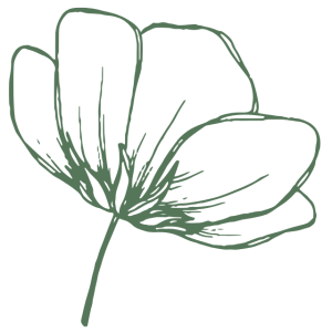 dominique-wustrack-jacou-34