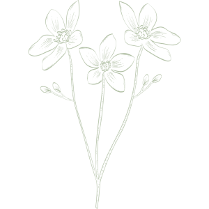 Unitaire fleurs de Bach