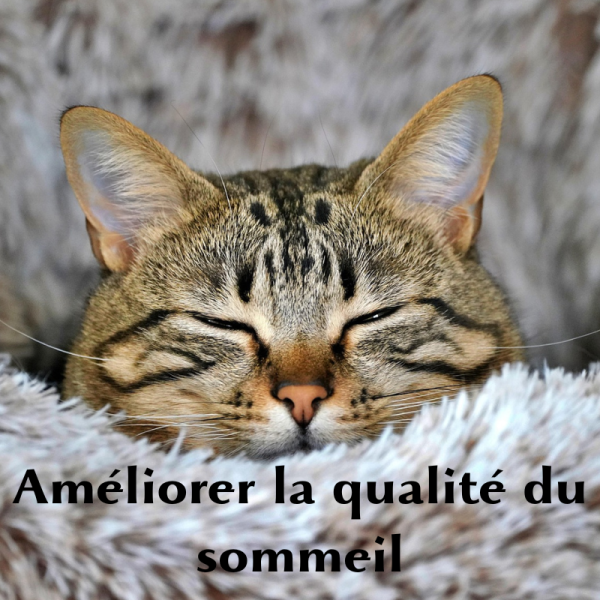 ameliorer la qualite du sommeil