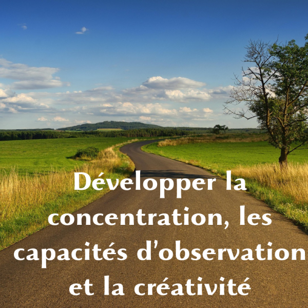 developper la concentration les capacites d-observation et la creativite