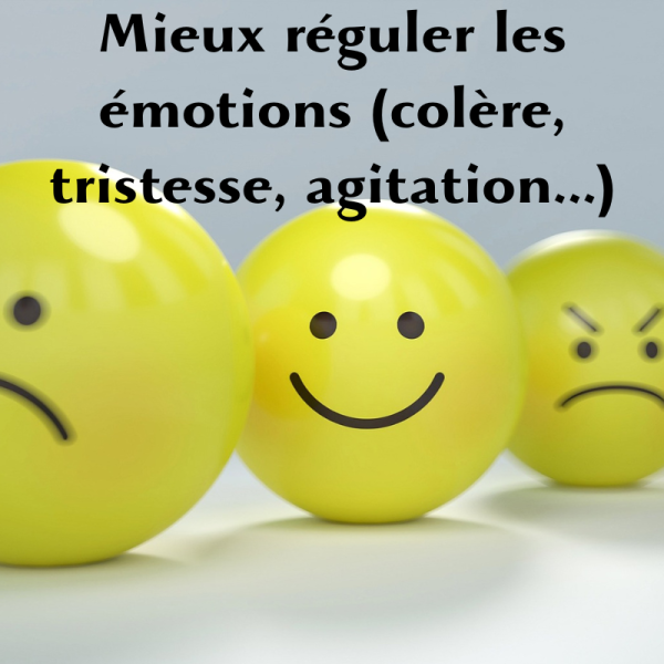 mieux reguler les emotions-colere tristesse agitation